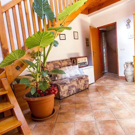 Holiday Home Juricko With Private Sauna Bizeljsko Luaran gambar