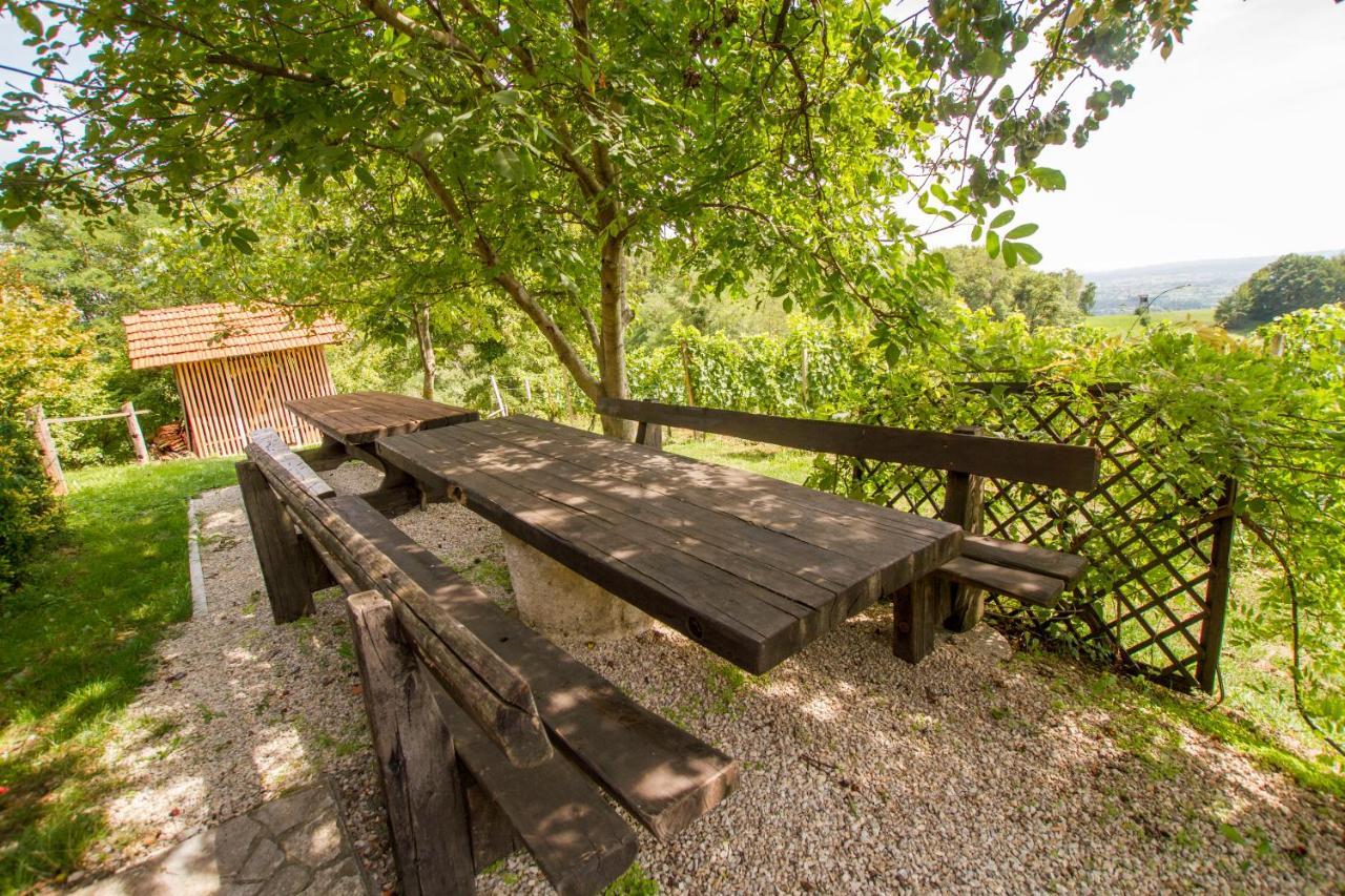 Holiday Home Juricko With Private Sauna Bizeljsko Luaran gambar