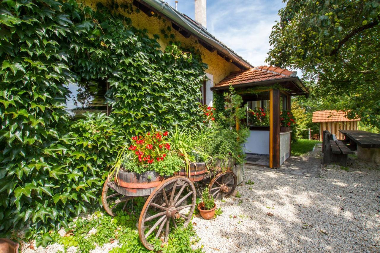 Holiday Home Juricko With Private Sauna Bizeljsko Luaran gambar